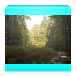 Ze světa lesních samot Kniha